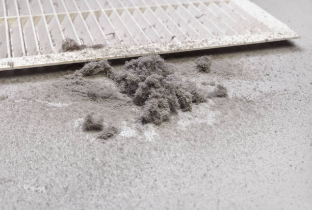 Best Ductwork Cleaning Services  in Westminster, TX