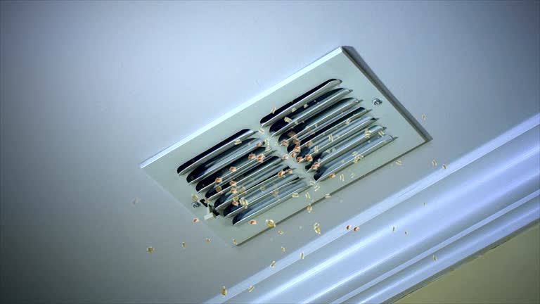 Best Emergency Air Duct Cleaning  in Westminster, TX