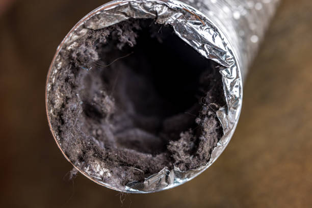 Best Air Duct Cleaning Near Me  in Westminster, TX