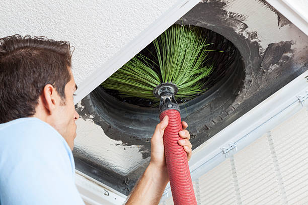 Best Home Air Vent Cleaning  in Westminster, TX